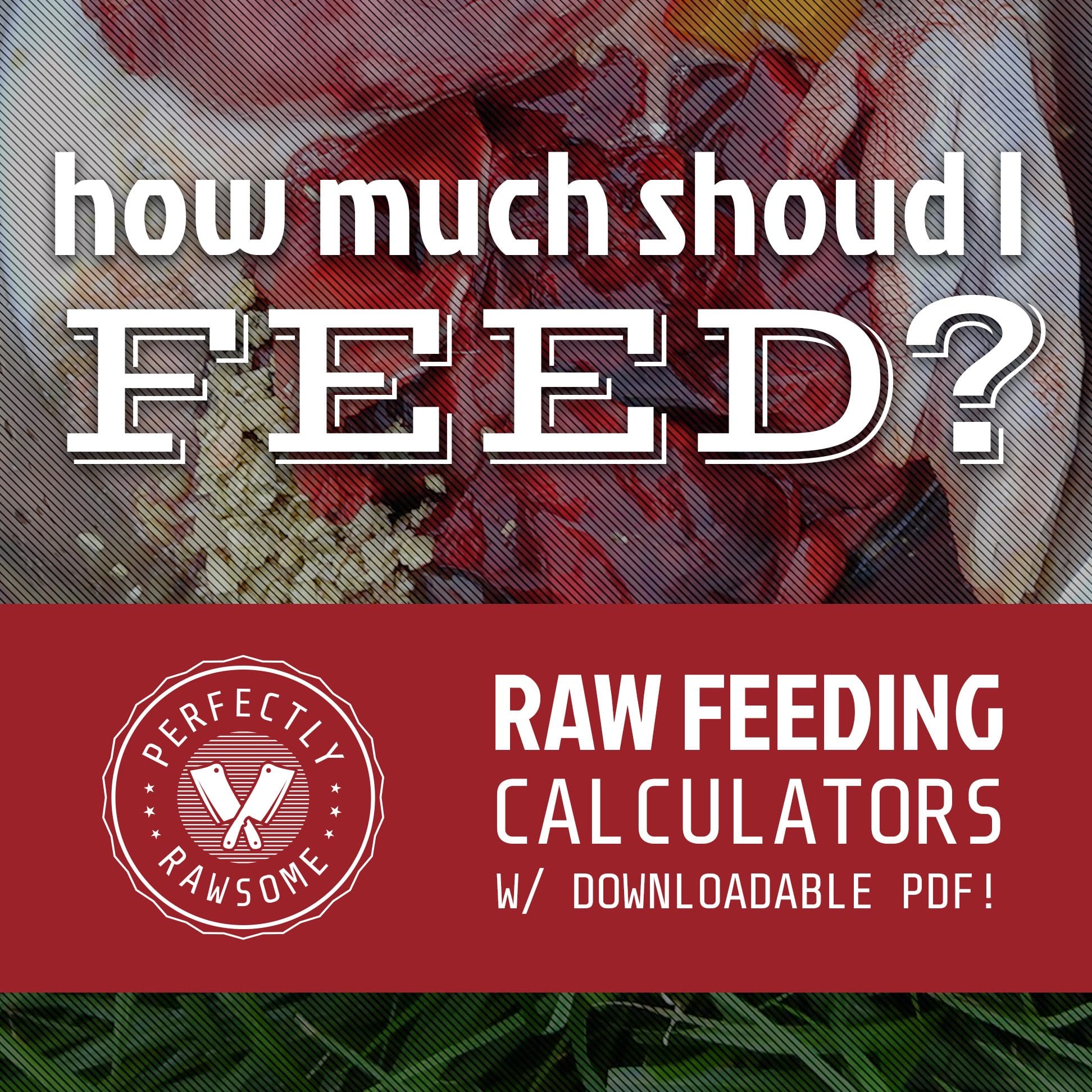 Calculators PMR BARF Raw Meaty Bone Calculator For Dogs Cats