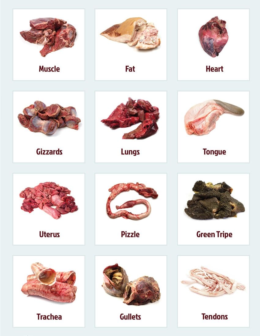 Raw Feeding Freebies Perfectly Rawsome Raw Feeding Guidelines