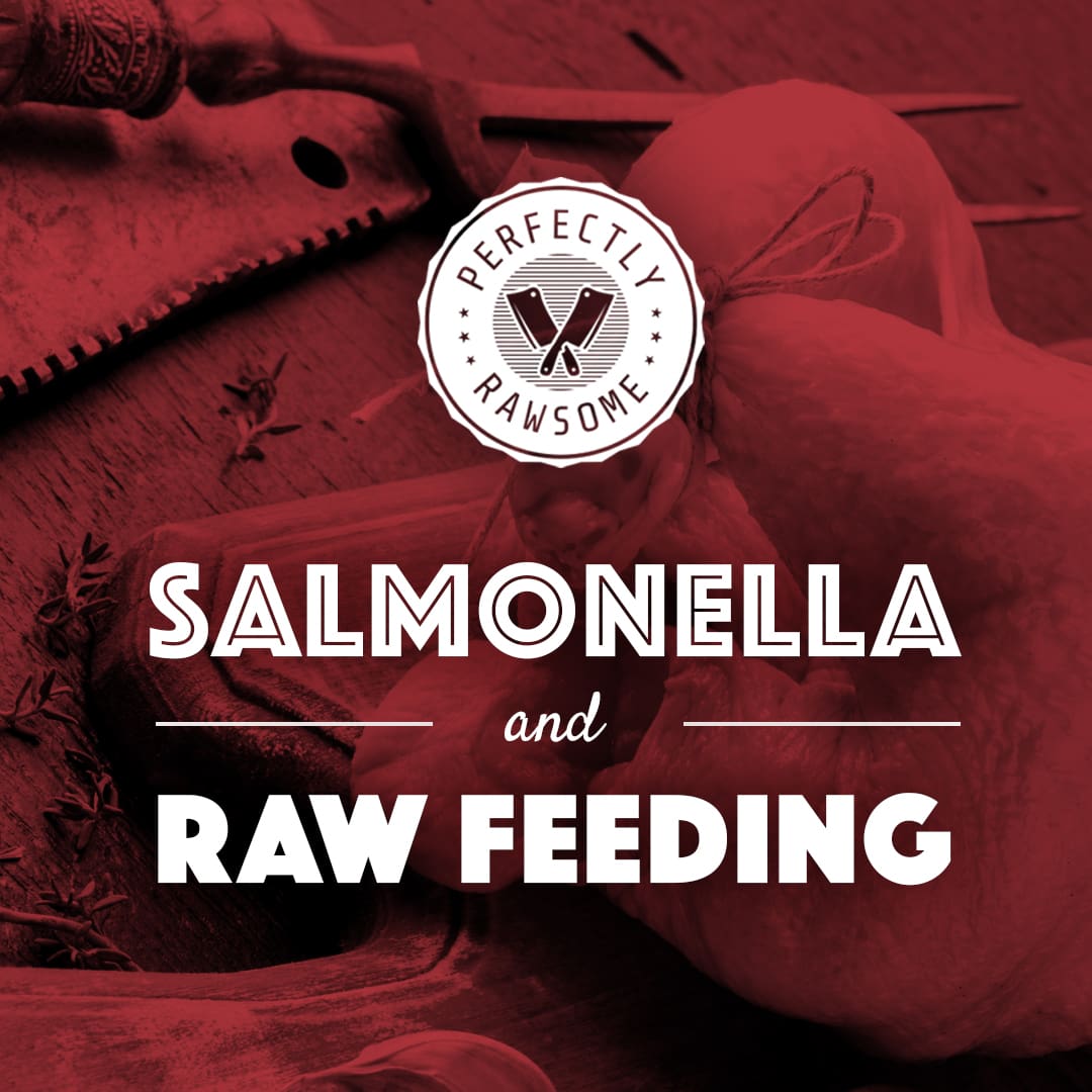 Salmonella & Raw Feeding, Perfectly Rawsome Guidance Blog