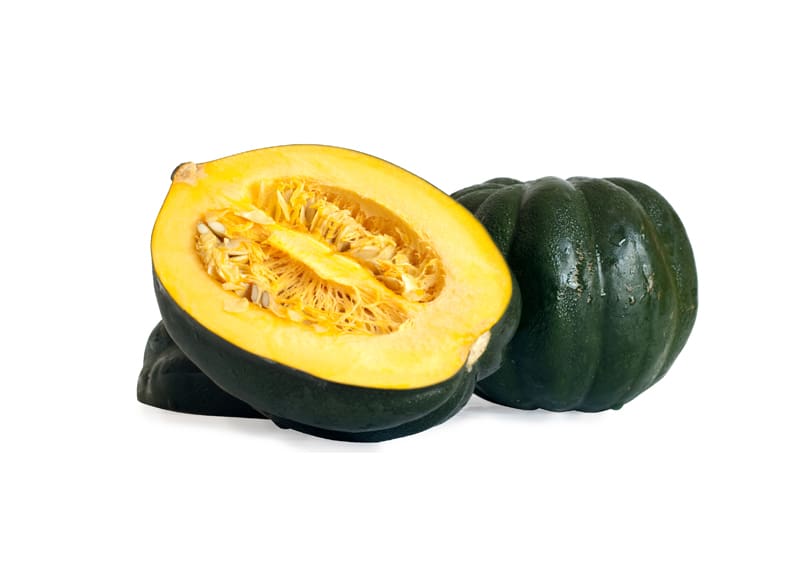 acornsquash