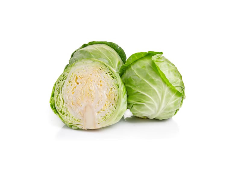 cabbage