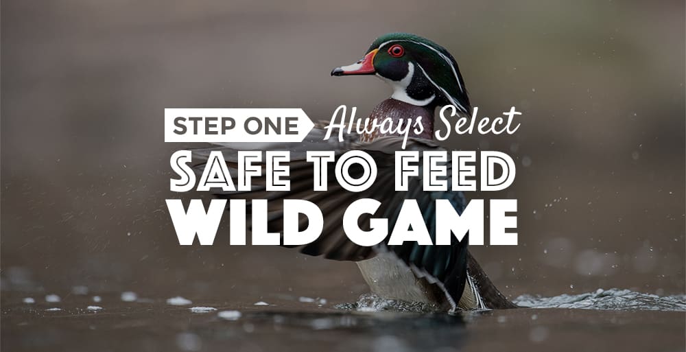 5 Steps to Feeding Raw Game, Perfectly Rawsome Guidance