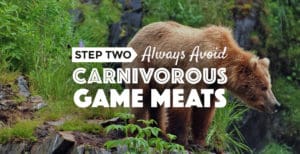 carnivorousgamemeats