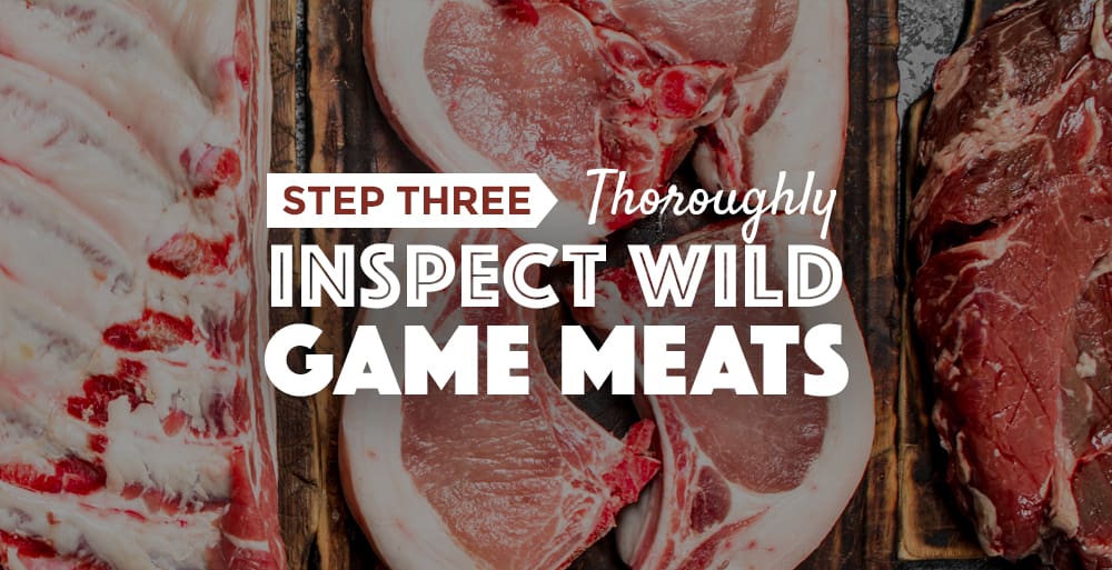 5 Steps to Feeding Raw Game, Perfectly Rawsome Guidance