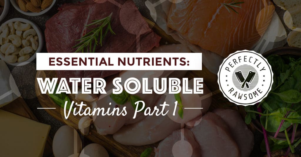 Essential Nutrients: Water Soluble Vitamins, Part 1, Guidance Blog