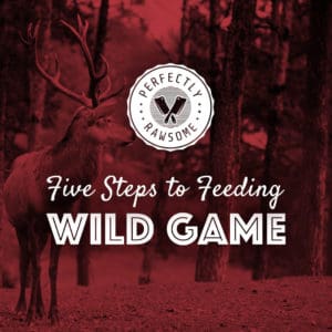 feedingrawwildgame