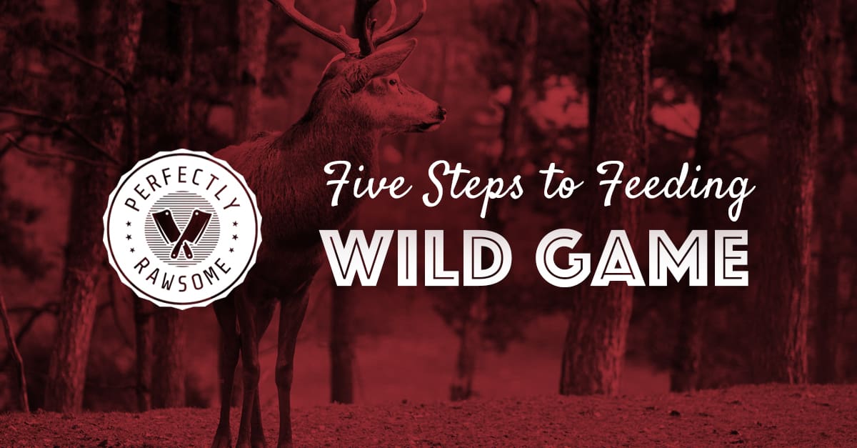 5 Steps to Feeding Raw Game, Perfectly Rawsome Guidance