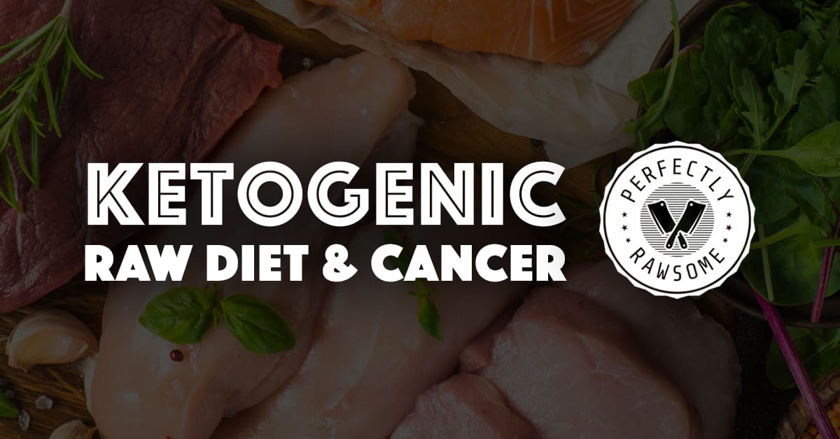 ketogenicdiet