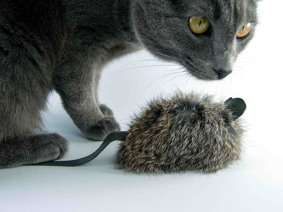 rabbitfurcattoy