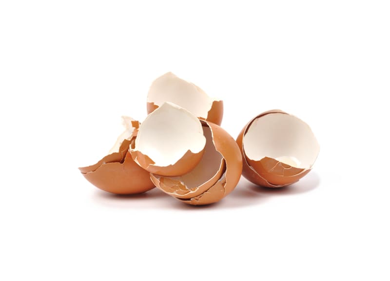 eggshells