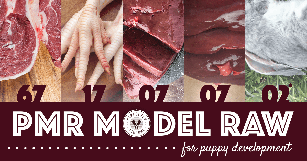 PMR Model Raw for Puppy Development