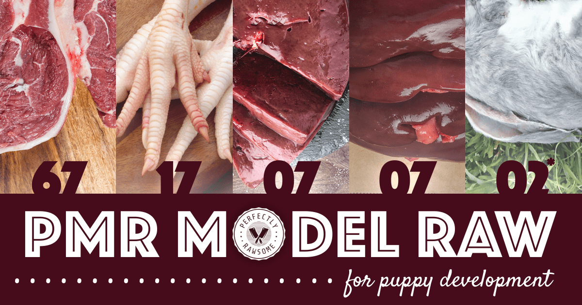 Feeding raw meat to hot sale puppies