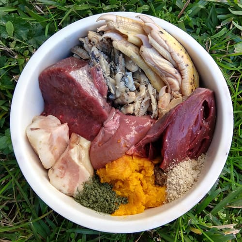 dog raw diet menu