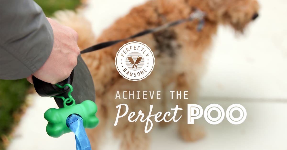 Achieve the Perfect Poop