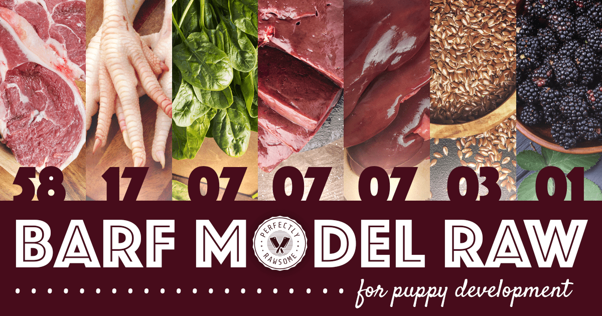 BARF Model Raw for Puppies