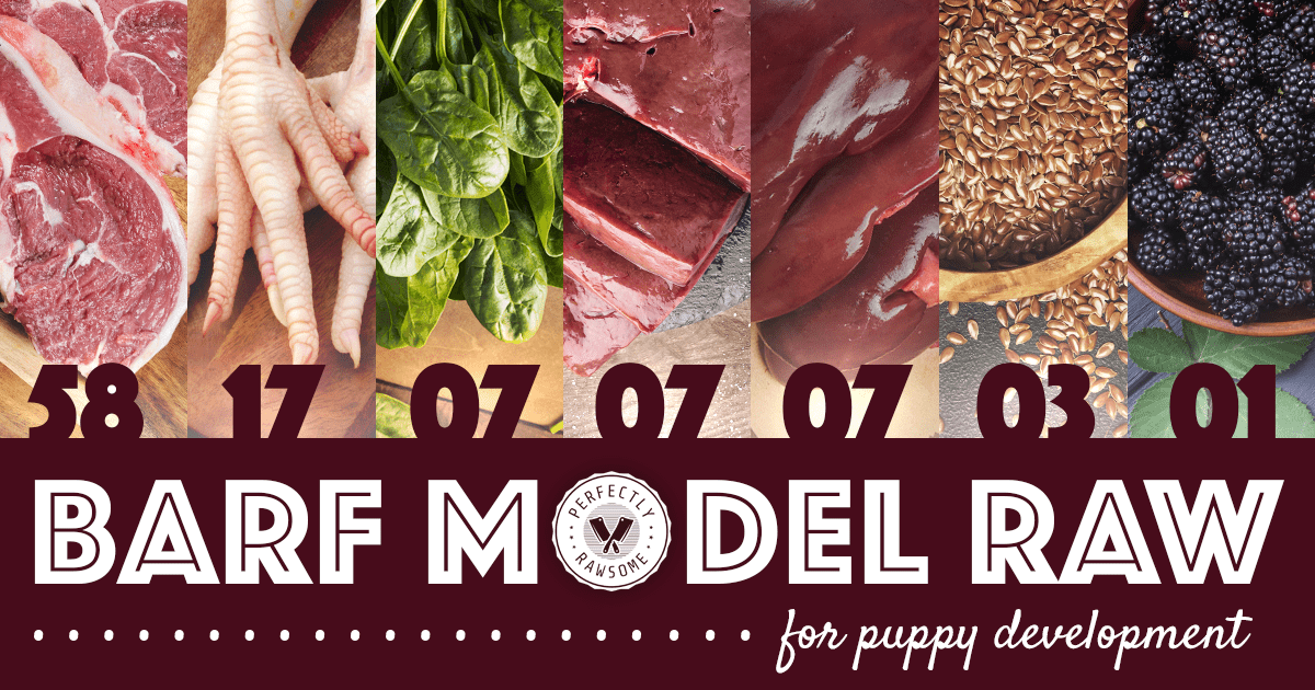 BARF Model Raw for Puppy Development