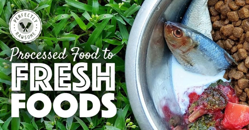 Raw Feeding Transition Guide for Dogs, Canine Nutrition, Raw Diet Guide