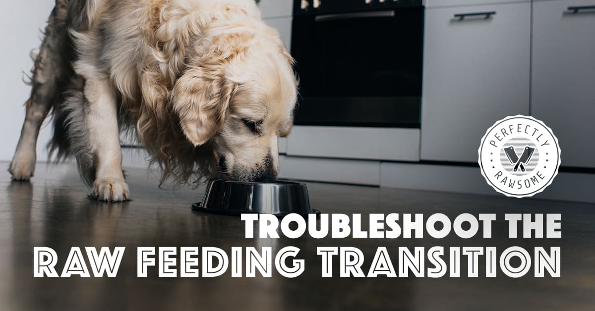 Troubleshoot the Raw Feeding Transition