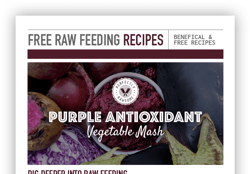 purpleantioxidantrecipe