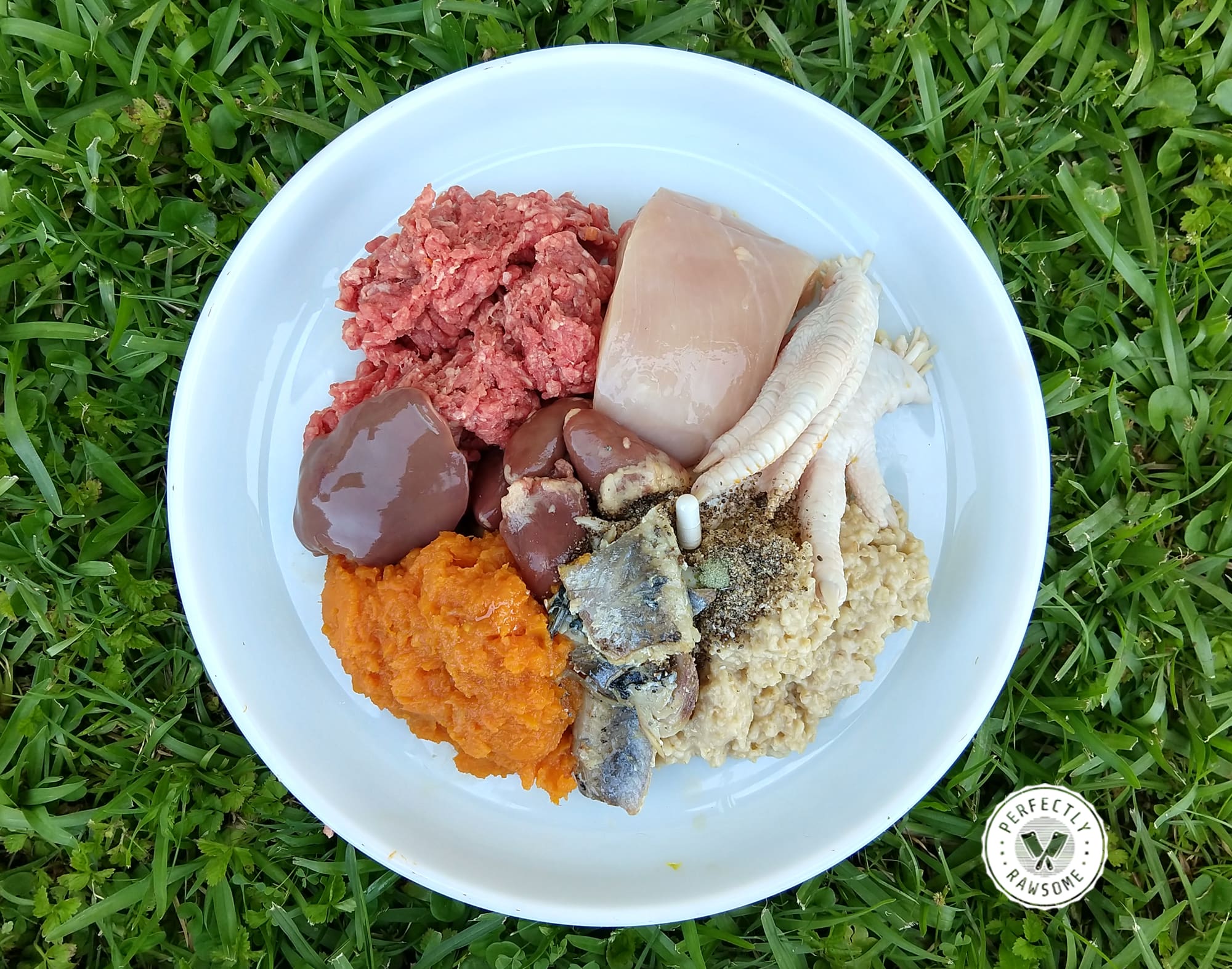 rawfedadultdogmeal