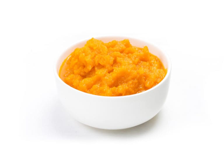 Raw Feeding Guidelines for Pregnant & Lactating Dogs, Canine Nutrition