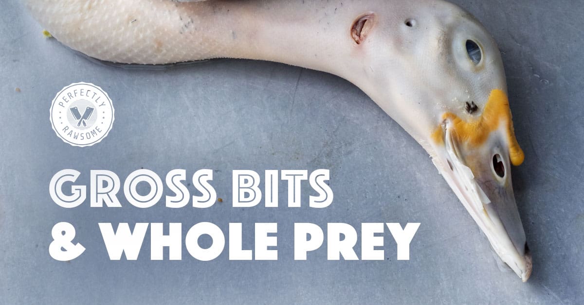 Whole prey store diet for dogs