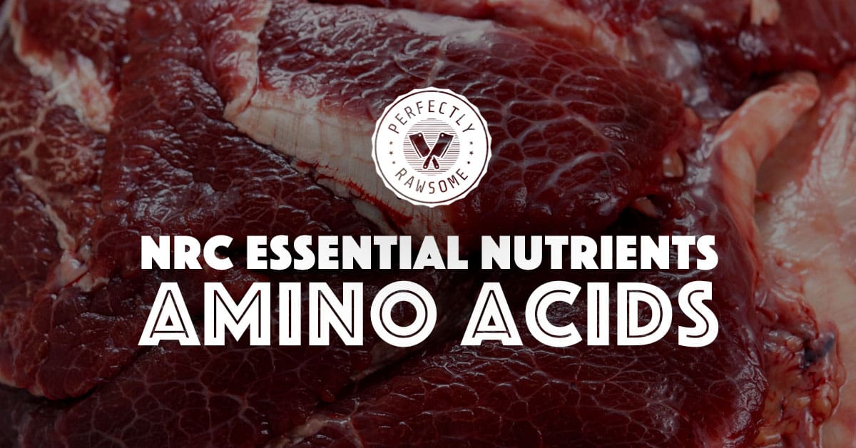 Essential amino acids in dogs best sale