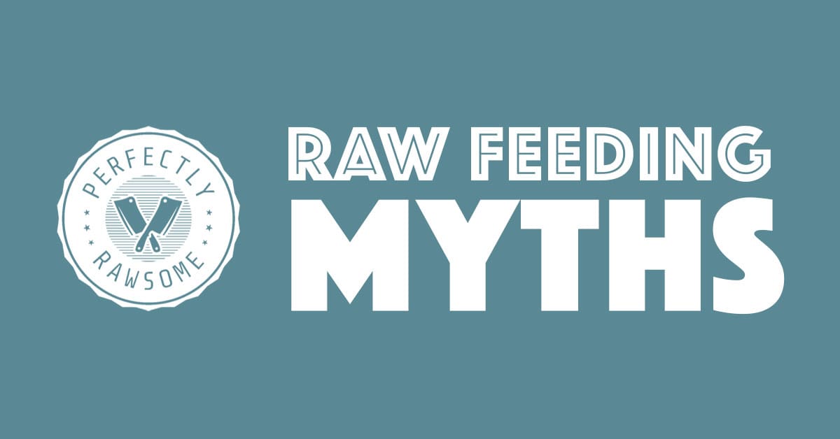 Does raw diet clearance make dogs aggressive