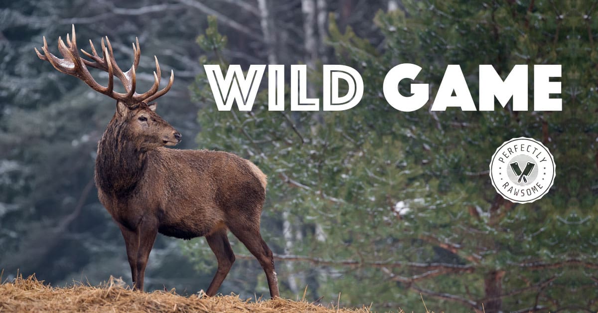 Wild Game Feed Poster Wild Game Feed Logo Poteat Sating