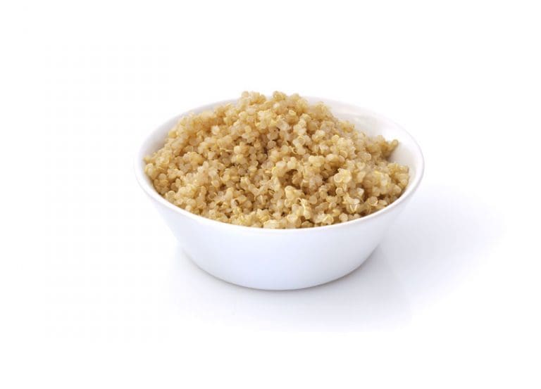 Carbohydrates in Raw Diets Canine Nutrition Ingredient Guideline