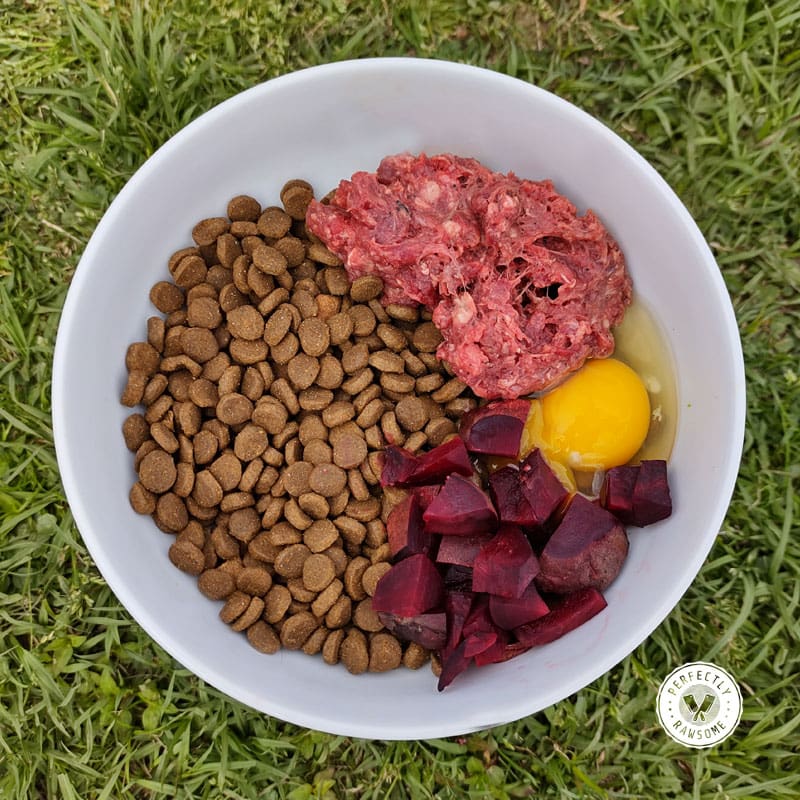 Add Fresh Raw Food to Processed Dry Dog Food Feeding Guide