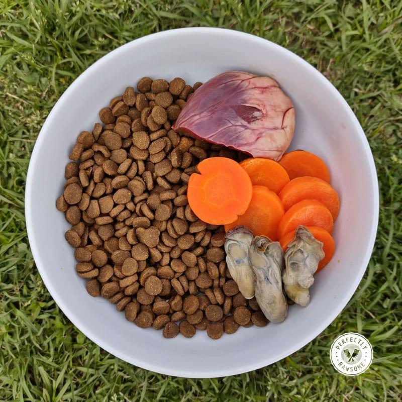 Mixing kibble with raw food best sale