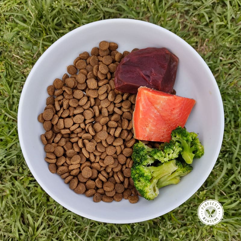 Add Fresh Raw Food to Processed Dry Dog Food Feeding Guide