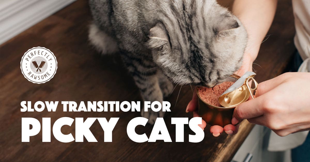 Slow Trasition for Picky Cats