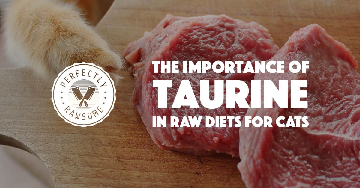 Taurine rich foods for 2024 dogs