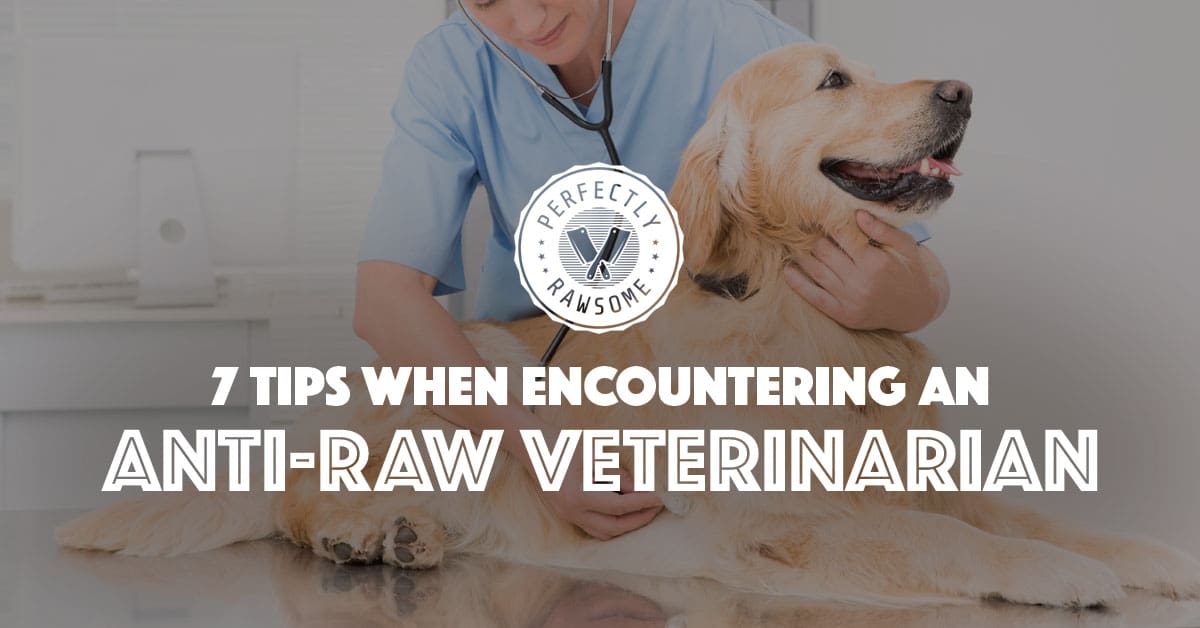 7 tips when encoutring an anti-raw veterinarian