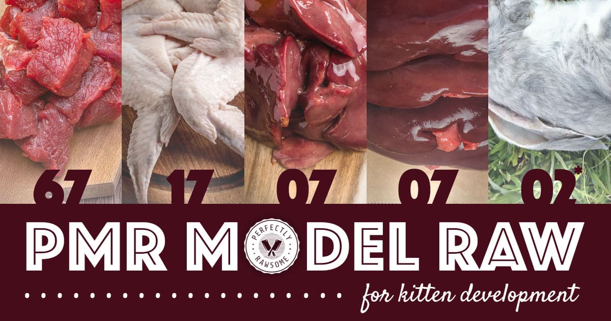 prey model raw (pmr) for kittens