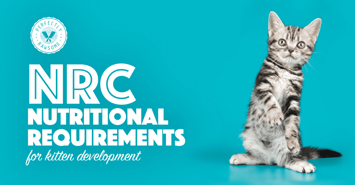 NRC Nutritional Requirements for Kittens Raw Feeding Feline Nutrition