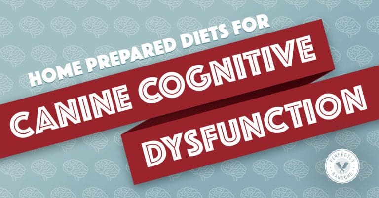 Canine cognitive dysfunction supplements Clearance